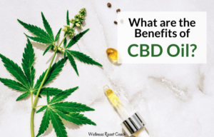 What are the Benefits of CBD Oil? - Wellness Reset